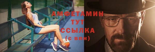 прущие грибы Абинск