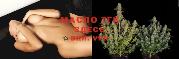 прущие грибы Абинск