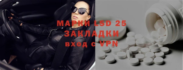 прущие грибы Абинск